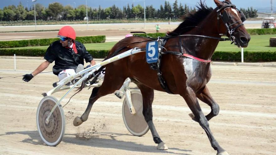 Joan Toni Riera celebró sobre el sulky la séptima victoria consecutiva de Viking d´Hermine.