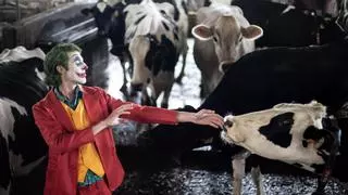 El Joker se hace ganadero de leche en Tineo