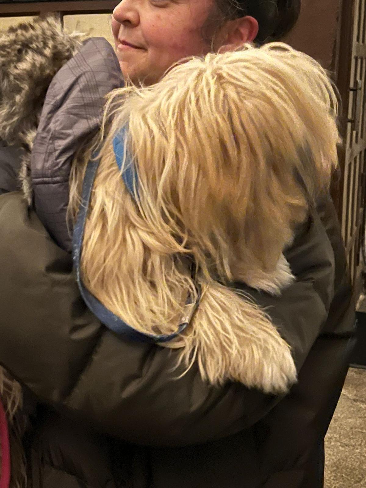 Bendición de animales por San Antón en Santiago