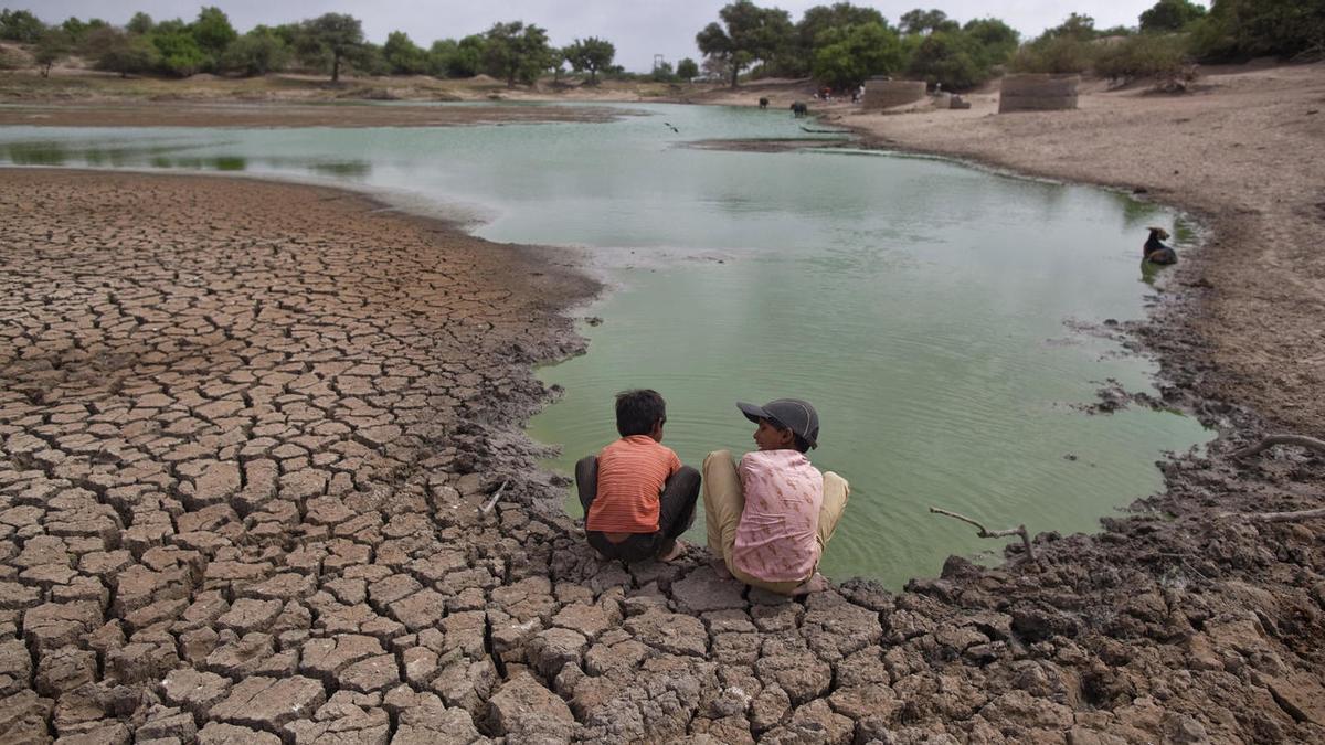 La sequía compromete el futuro de la humanidad