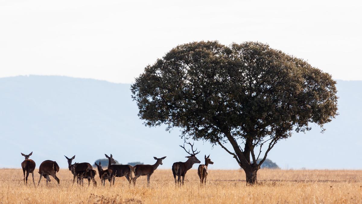 Naturaleza, turismo sostenible y responsable, tres ideas