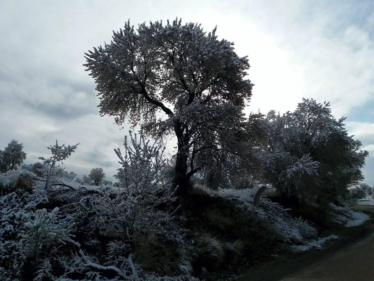 La nieve en primavera