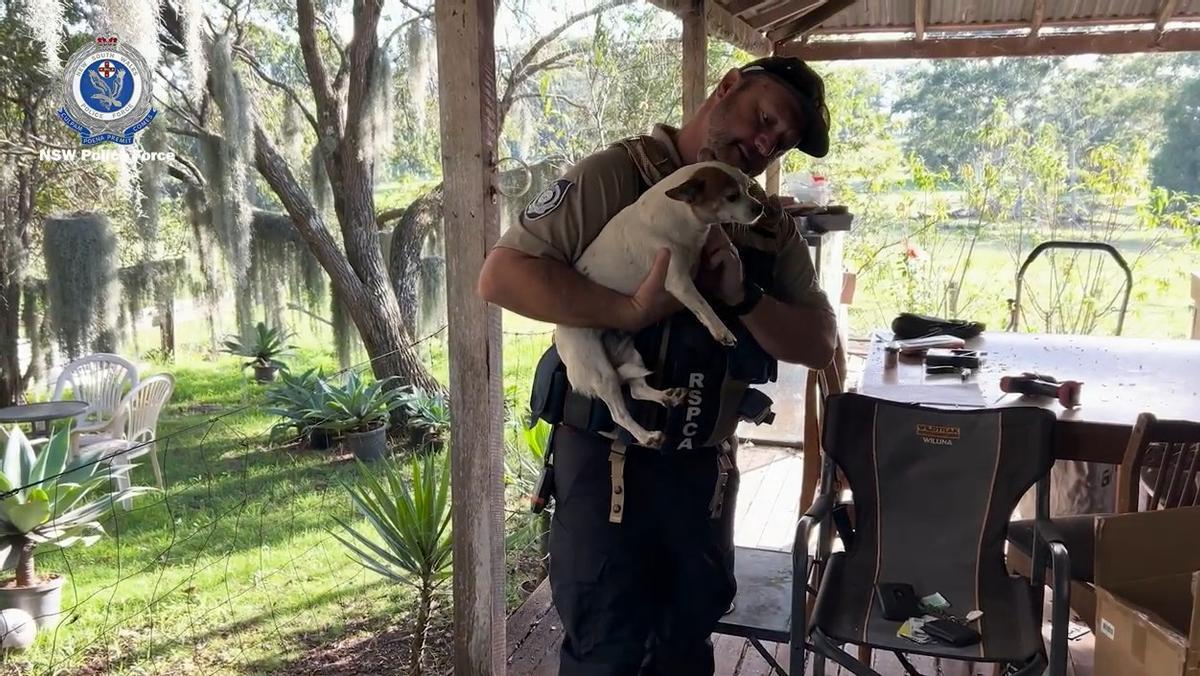 Un policía con un perro hallado vivo en la propiedad de Baker