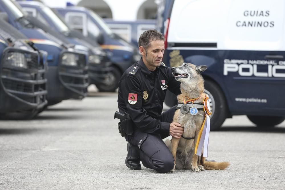 "Lúa" la perra policía