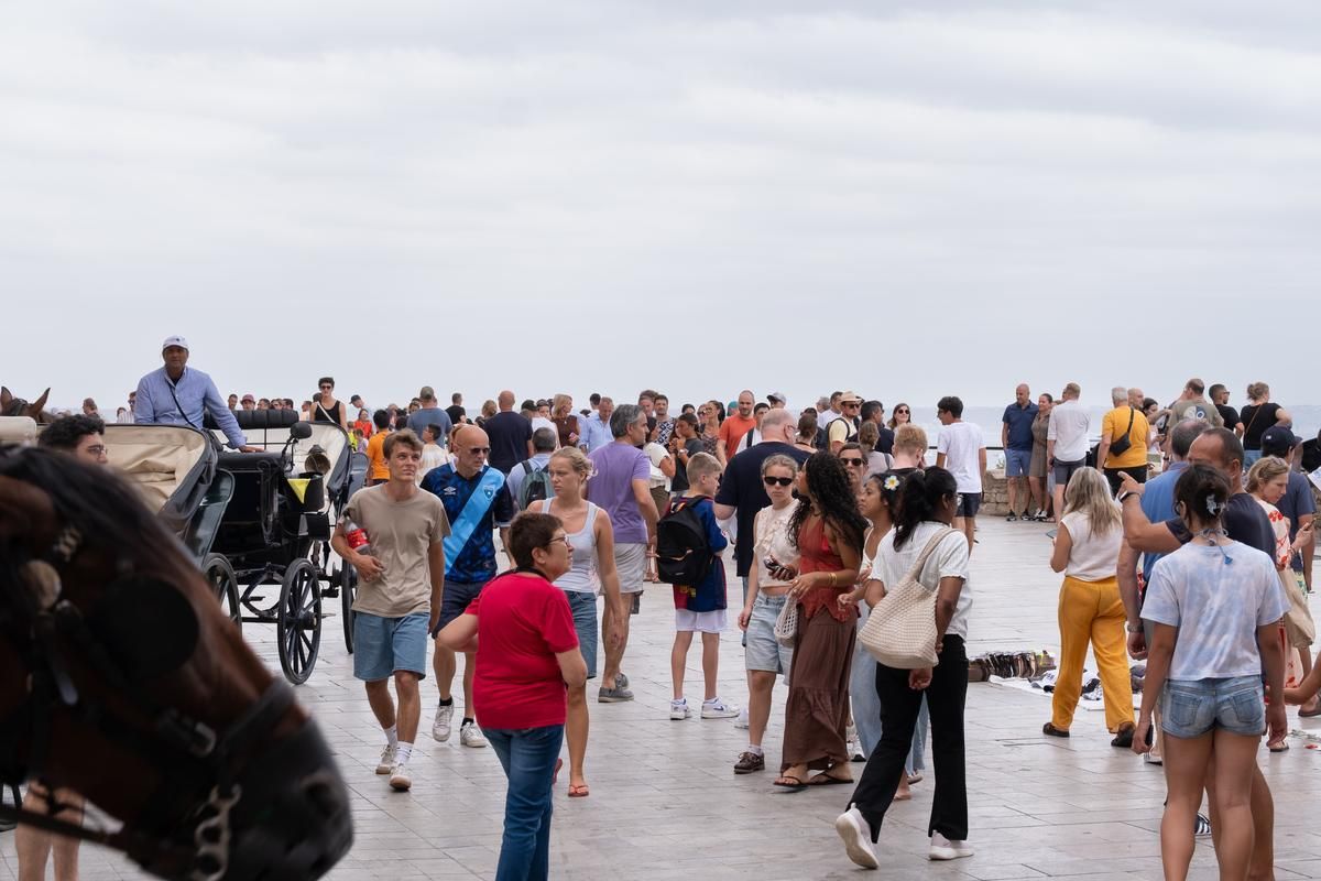 Las fotos del colapso en Palma que ha suturado calles, aparcamientos, buses y servicio de taxi