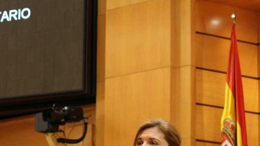 La senadora zamorana, Clara San Damián.