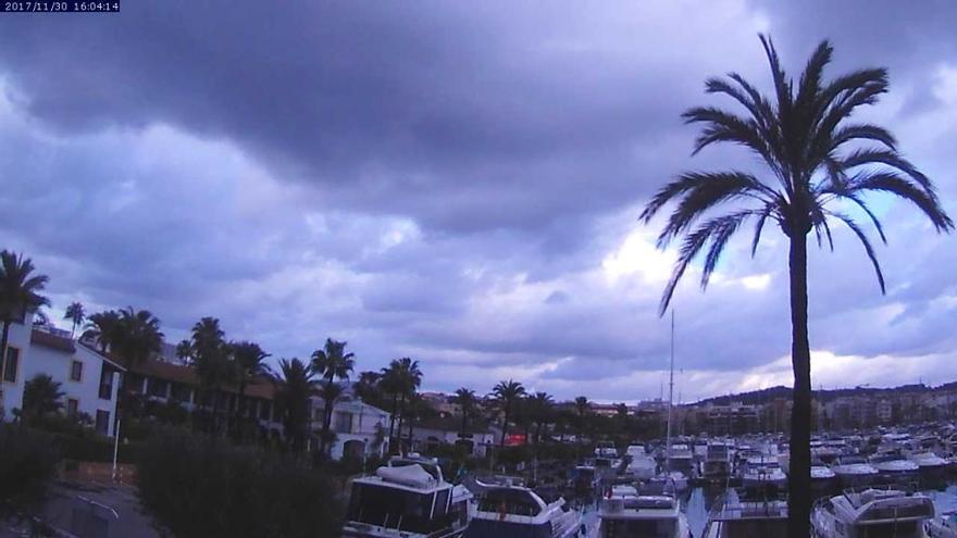 Dunkle Wolken über Port d&#039;Alcúdia am Donnerstag (30.11.), die Palme steht wie eine Eins.
