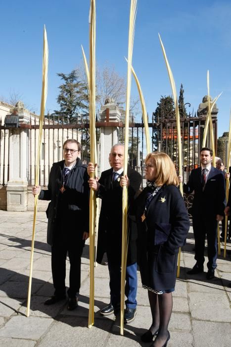 Bendición de ramos y palmas