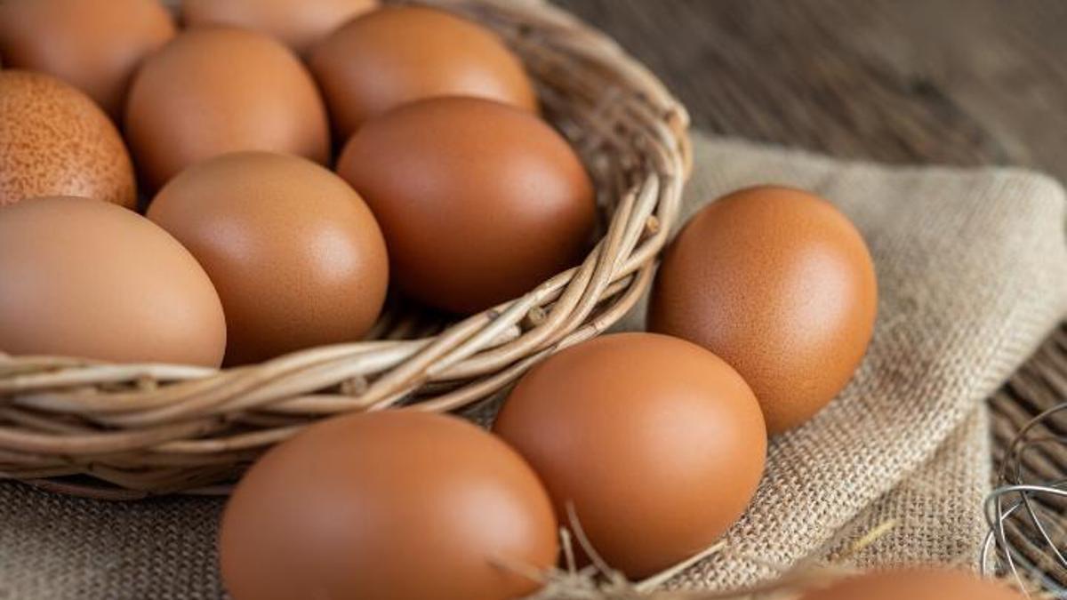 Compte amb el consum d'ous a l'estiu