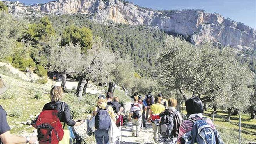 La Ley de Caminos tiene como principal finalidad el fomento del senderismo y rodear la isla mediante una red de vías rurales.