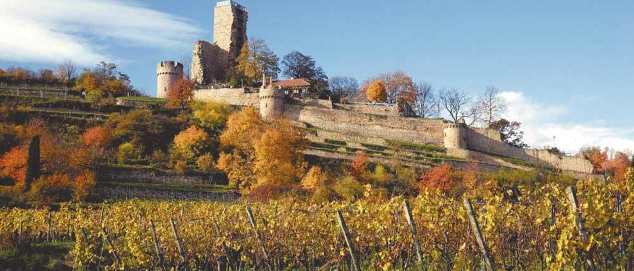 El castillo Wachtenburg, uno de los puntos imprescindibles de la ruta alemana del vino.