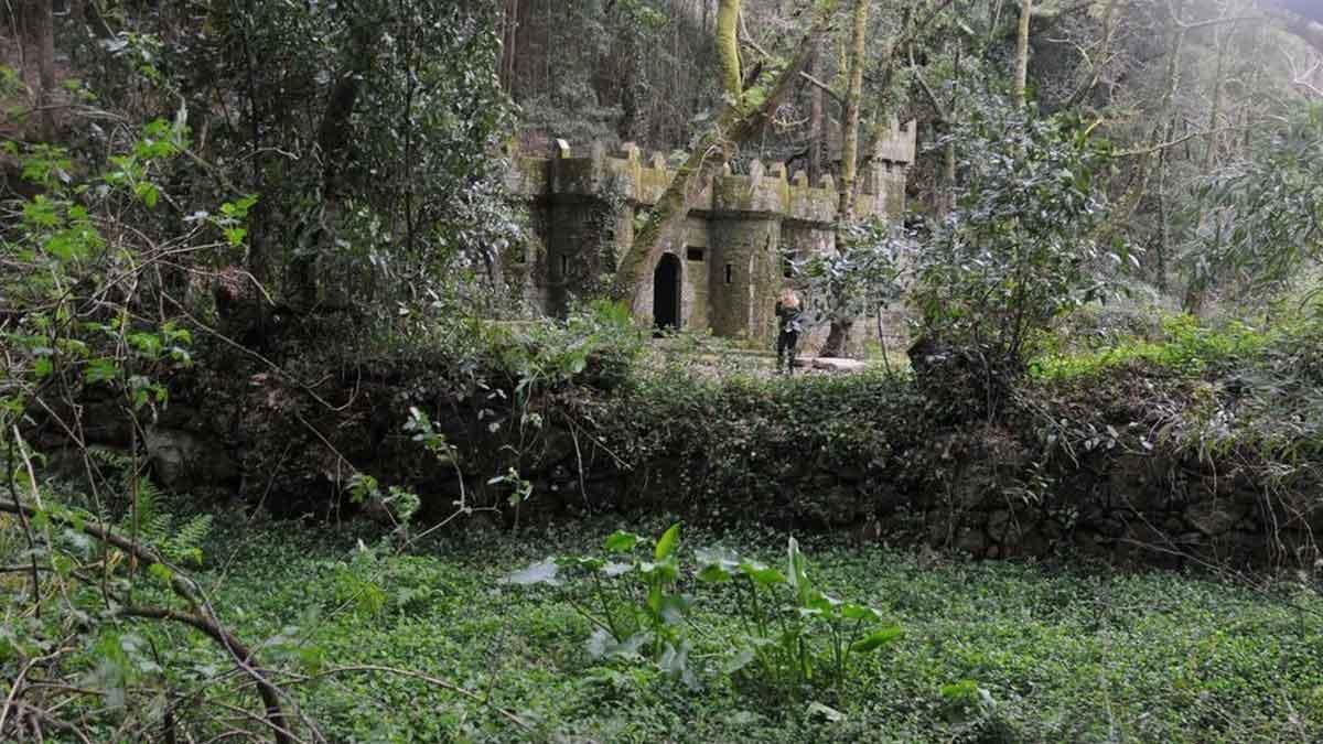 Bosque encantado en Aldán.