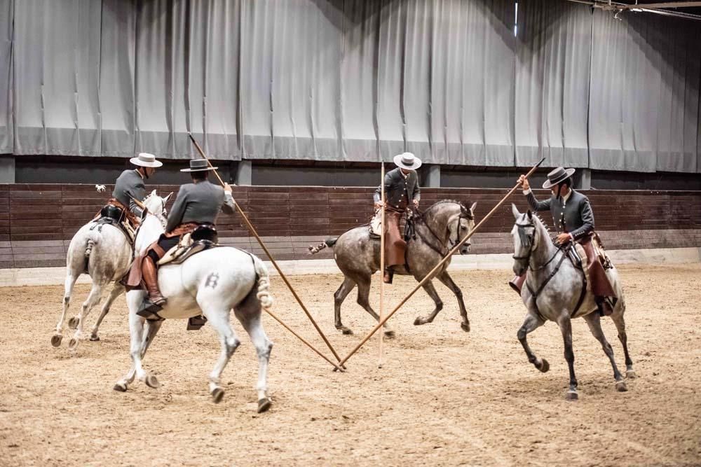 Así bailan los caballos cordobeses en Eslovenia