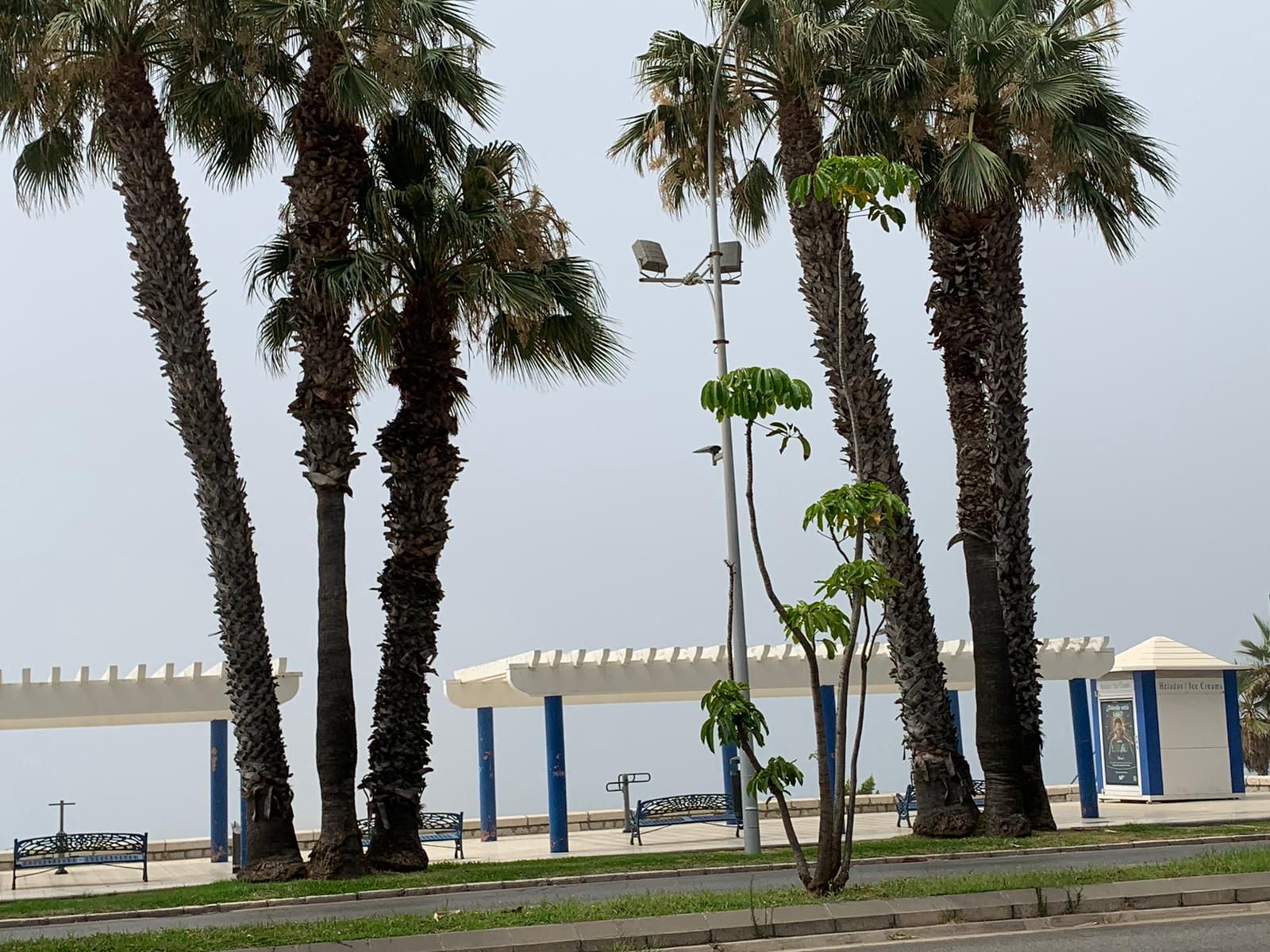 Domingo de taró en el litoral malagueño