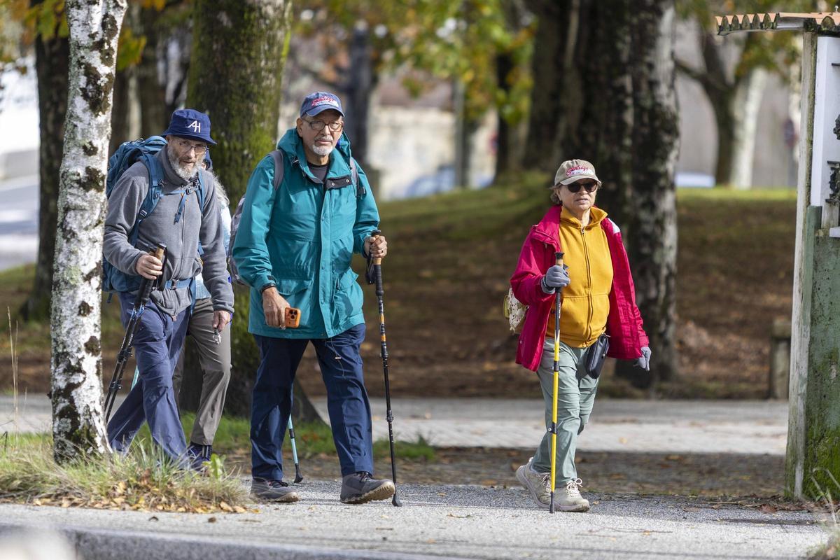 Un grupo de peregrinos durante un tramo del Camino de Santiago.