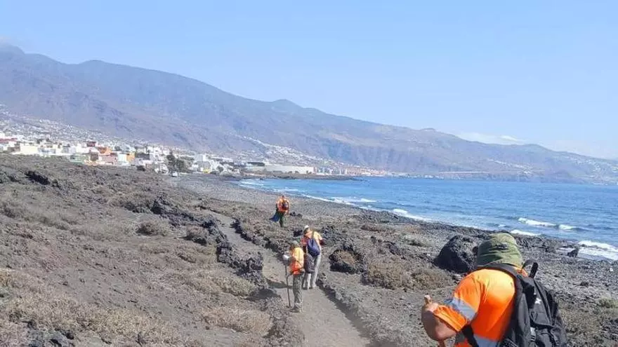 Puesta a punto en Güímar para la Bajada de El Socorro: limpieza y acondicionamiento en los senderos del Malapaís