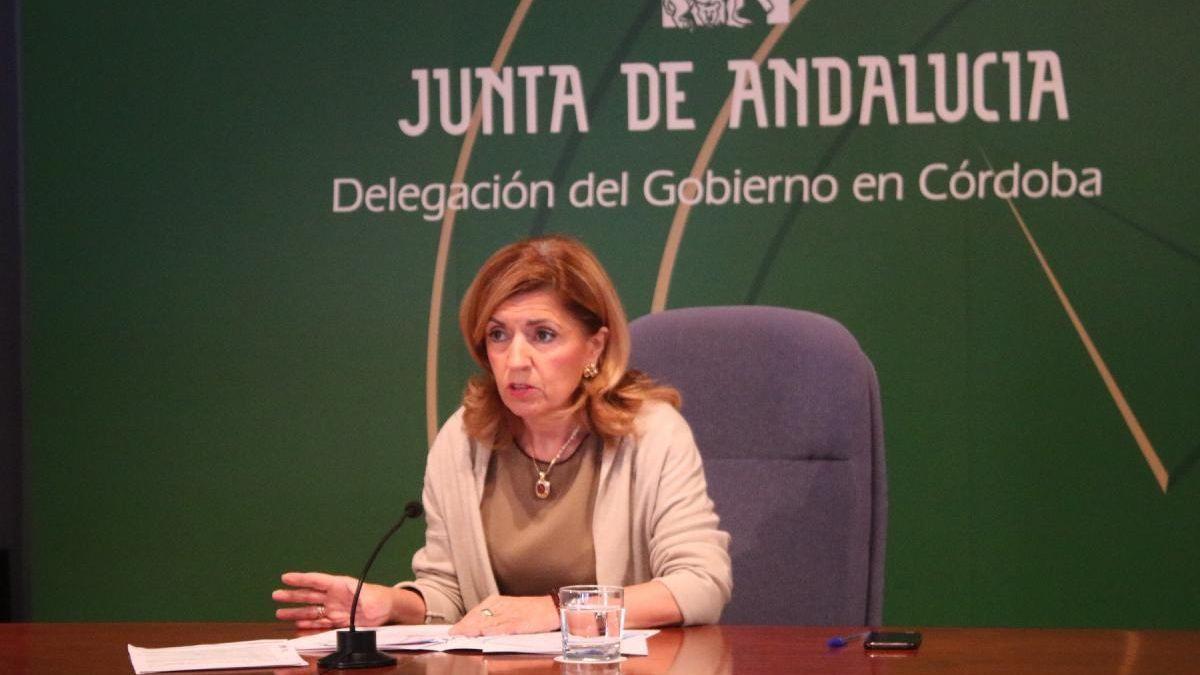 La delegada territorial de Salud, María Jesús Botella, en una imagen de archivo.