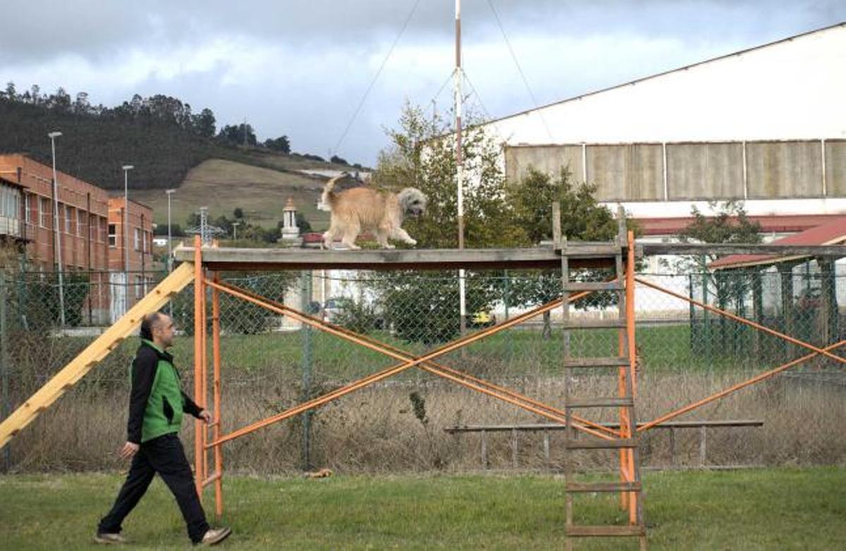 A la izquierda, Óscar Jadraque y el perro «Raska», durante una de las pruebas. A la derecha, los participantes con sus perros, y los jueces, ayer, en La Morgal.