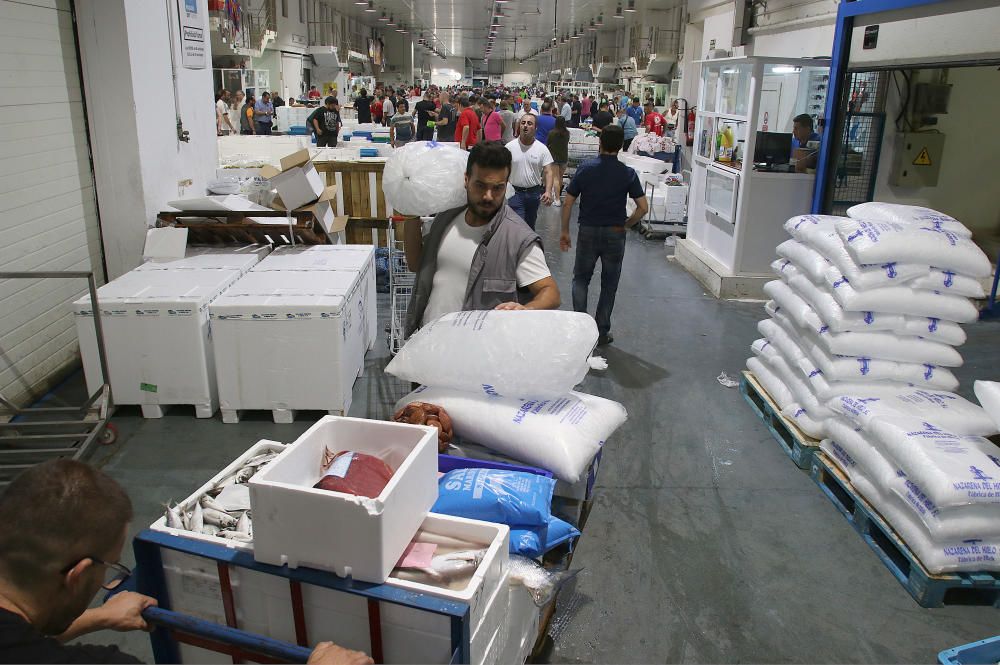 Así es un día de trabajo en la pescadería de Mercamálaga