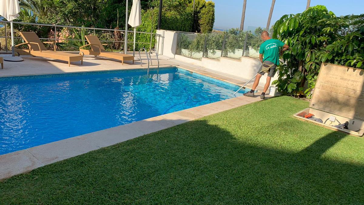 Servicios de jardinería así como mantenimiento de piscinas.