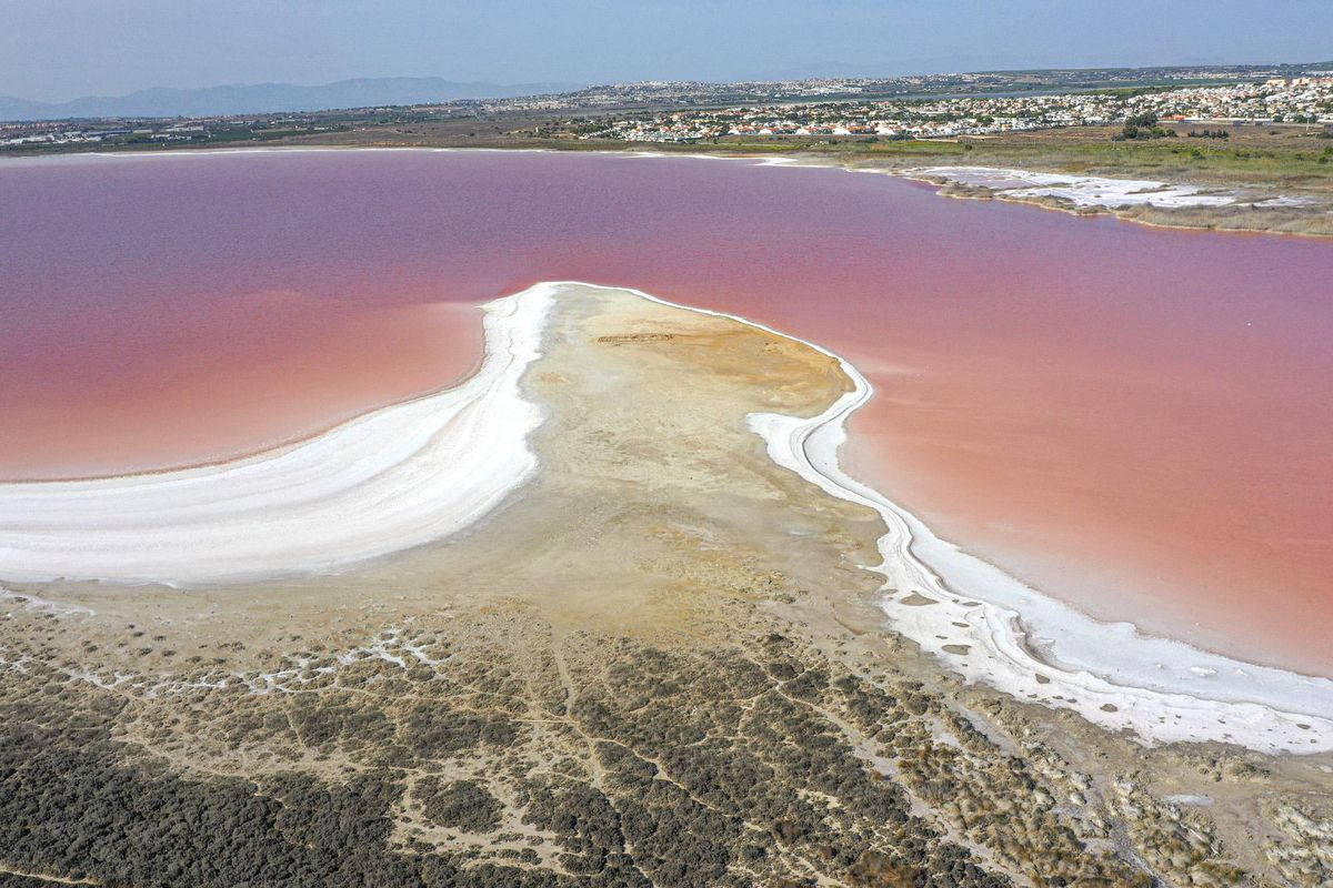 Punta de la Víbora de la laguna de Torrevieja