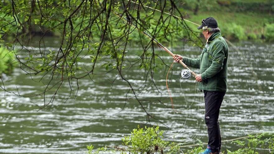 Un pescador de salmón, en los últimos meses, en el coto de Ximonde. // Bernabé / Juan Carlos Asorey