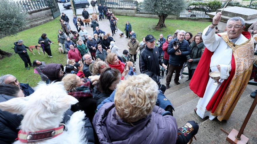 Decenas de mascotas reciben la gracia de San Antón en una jornada lluviosa