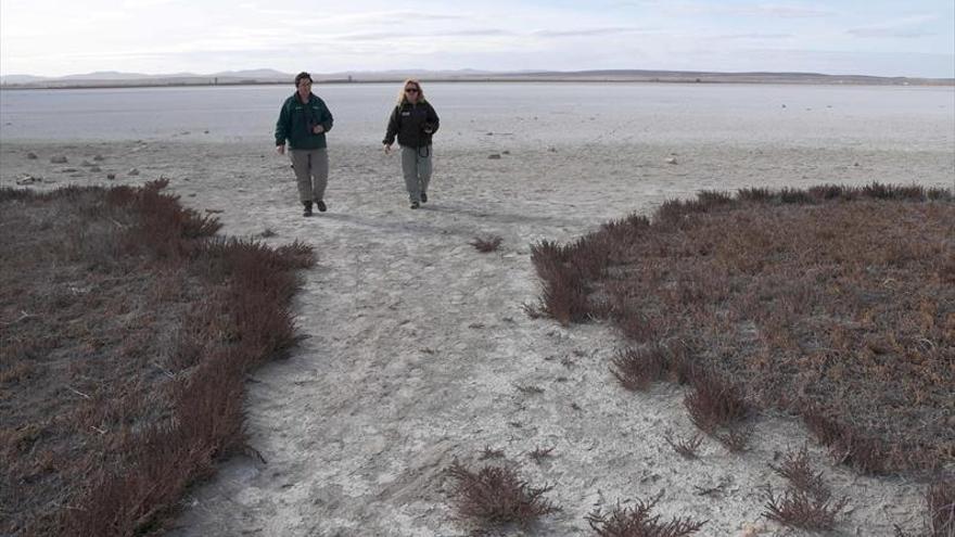 La falta de lluvia seca totalmente la laguna de Gallocanta