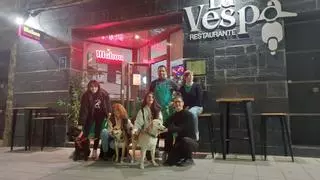 Pizzas solidarias con los animales abandonados de Toro