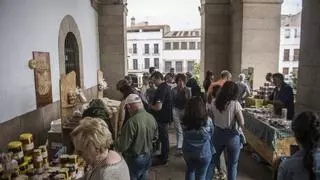El Biomercado de la plaza de Cáceres cierra hasta septiembre