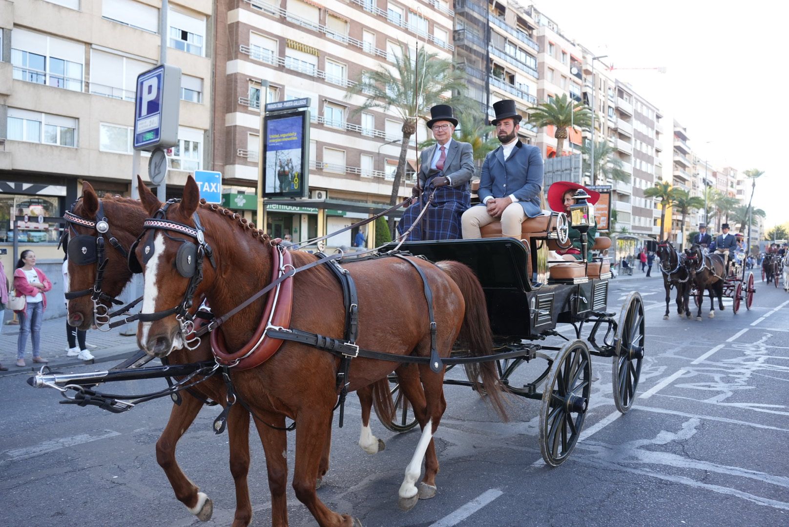 Marcha ecuestre para conmemorar el 175º aniversario de la Facultad de Veterinaria