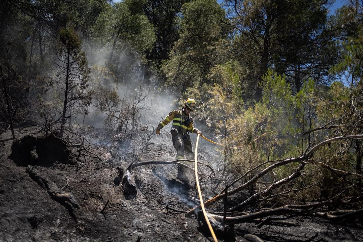 En imágenes | El operativo de INFOAR sigue este jueves con las labores de extinción en el incendio de Leciñena
