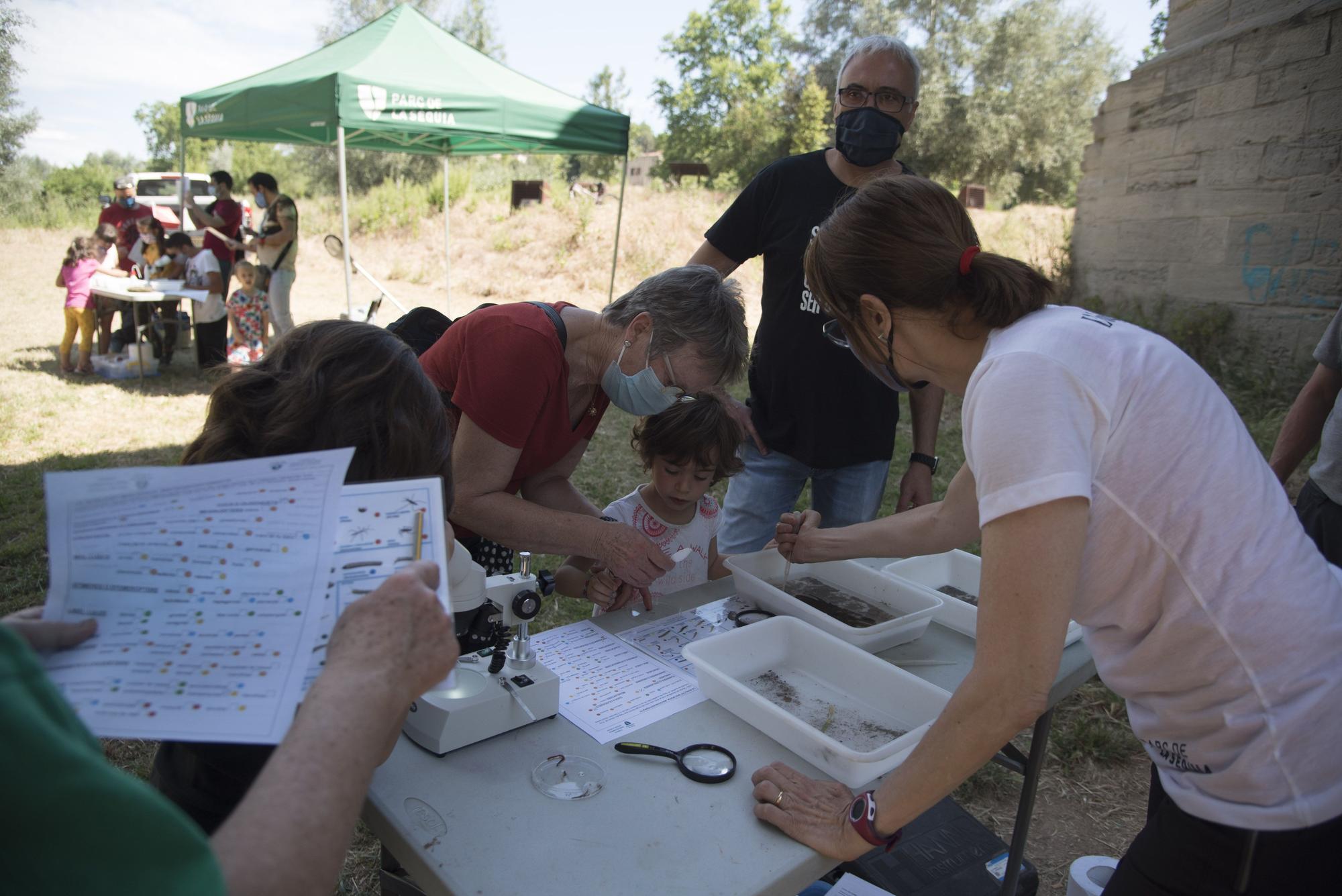 Manresa celebra la Festa del Riu