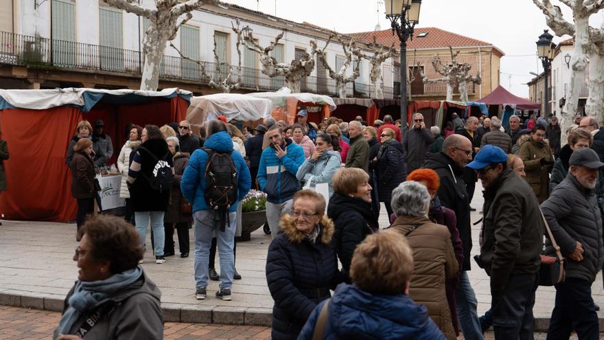 Tradición y mercado en la Feria de los Santos de Fuentesaúco