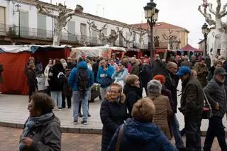 Tradición y mercado en la Feria de los Santos de Fuentesaúco