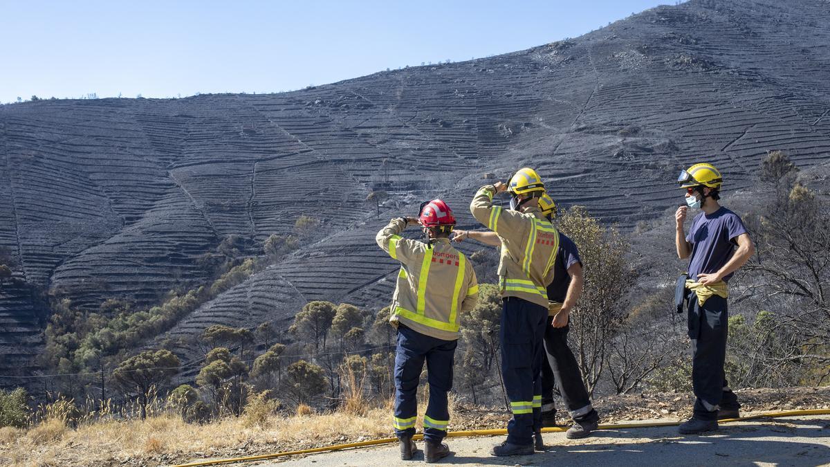 Efectius dels Bombers inspeccionant el perímetre cremat a mitjan juliol als termes de Llançà i el Port de la Selva