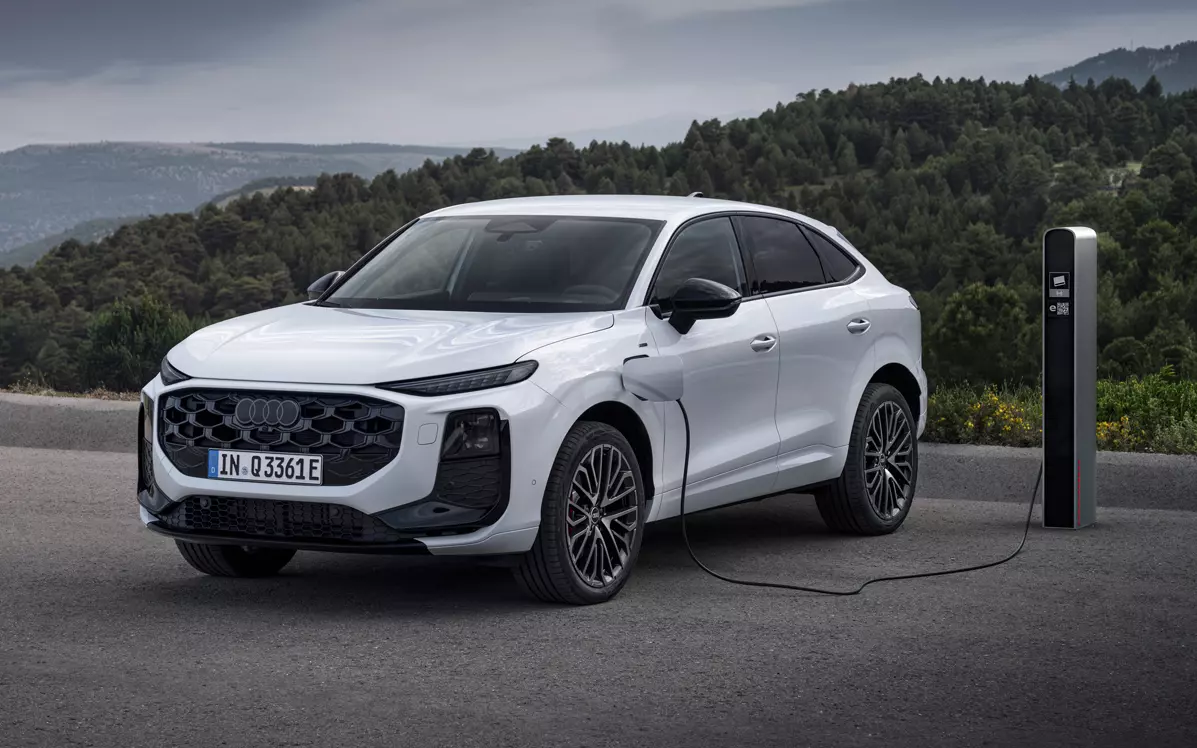 337bcffc-b570-4dbb-a52f-772e1b315394_sou