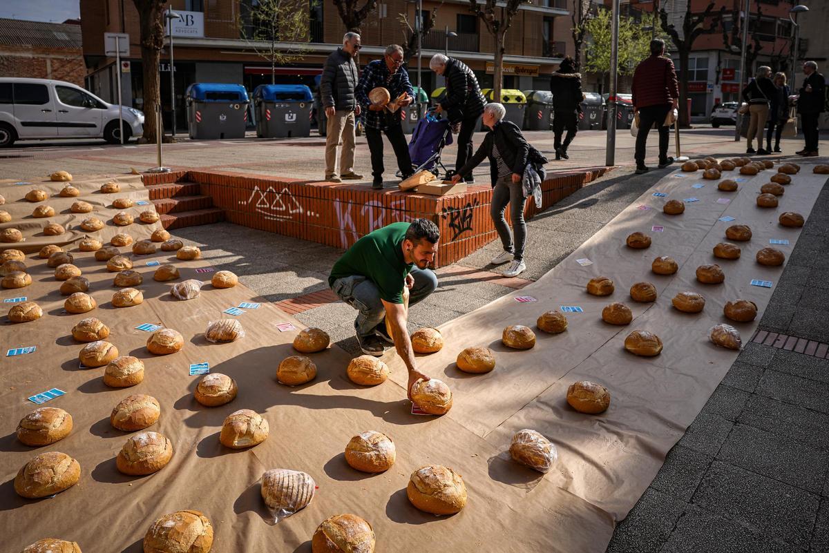 El Teatre de La Passió dOlesa de Montserrat da la bienvenida a La Passió de este año con funciones hasta el 1 de mayo.  Como si fuera la alfombra roja del estreno, un total de 500 panes han llenado la rampa de entrada al Teatro, en la plaça de lOli, para sacar La Passió a la calle de manera conceptual. Apelando a los panes que repartió Jesucristo y que son un elemento representativo de la obra, se ha creado una alfombra de panes para invitar todo el pueblo a asistir al gran espectáculo de La Passió.