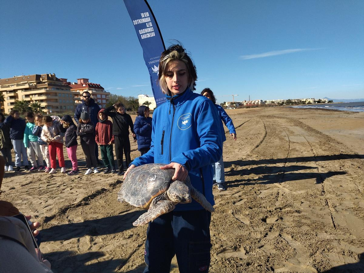 La tortuga ha vuelto al mar tras quedar enredada accidentalmente en diciembre en las redes de un pesquero