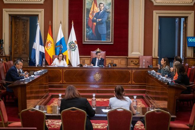 Comisión de Control en el Ayuntamiento de Santa Cruz