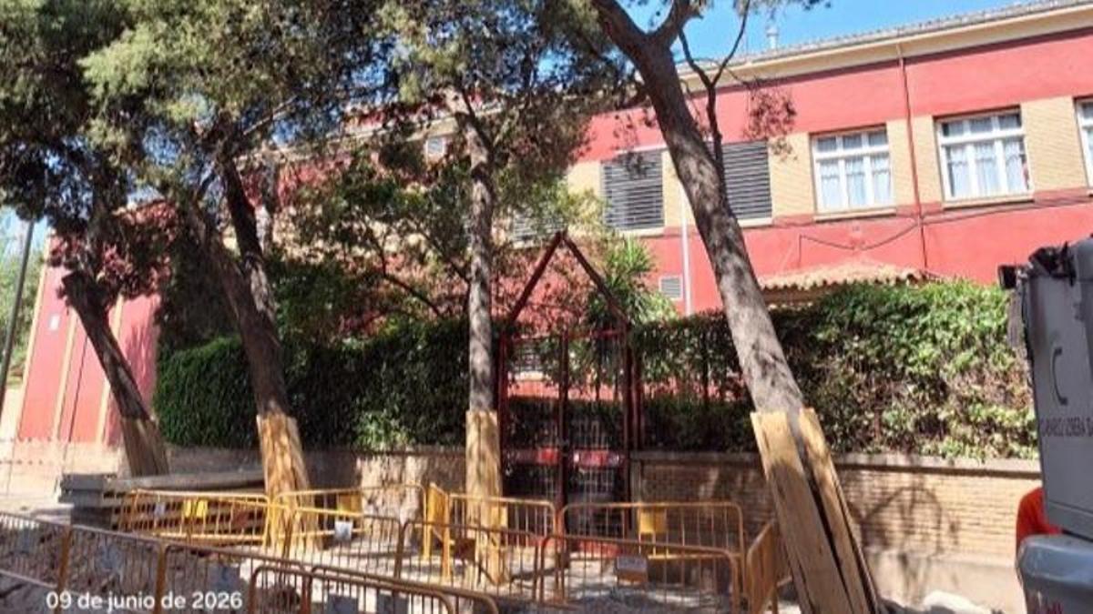 El Ayuntamiento de Zaragoza talará 18 pinos de la calle Pedro Cerbuna al descubrir ahora su mal estado.