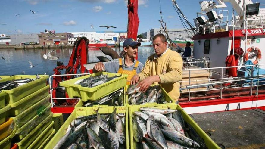 Dos marineros del cerco descargan cajas de sardina en un puerto gallego. jesús de arcos