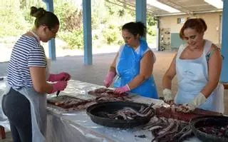 Los vecinos de Valga limpian 500 kilos de anguila