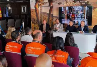 Las erupciones ganan peso en  las emergencias