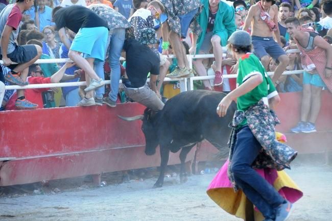 Les vaquetes de la festa major de Santpedor