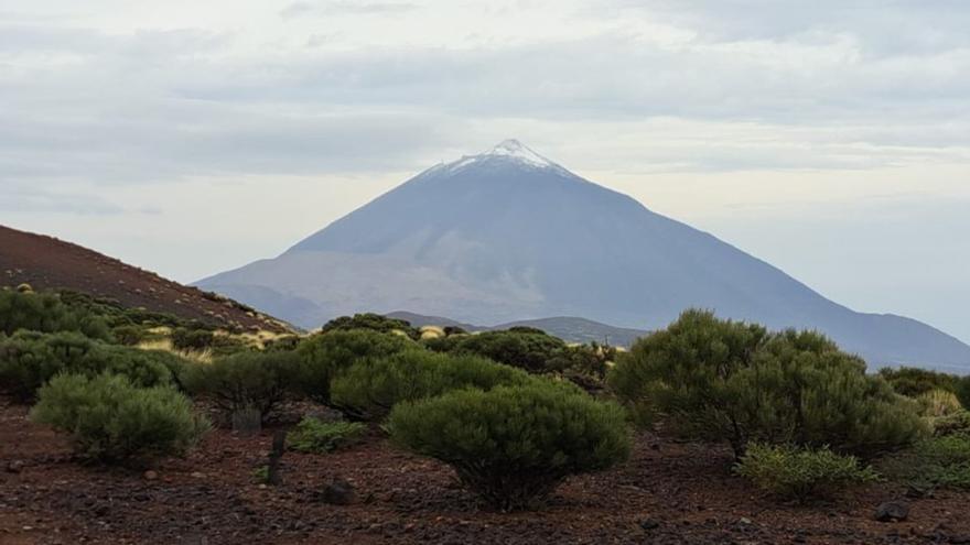 Hallan dos cadáveres en el Parque Nacional del Teide