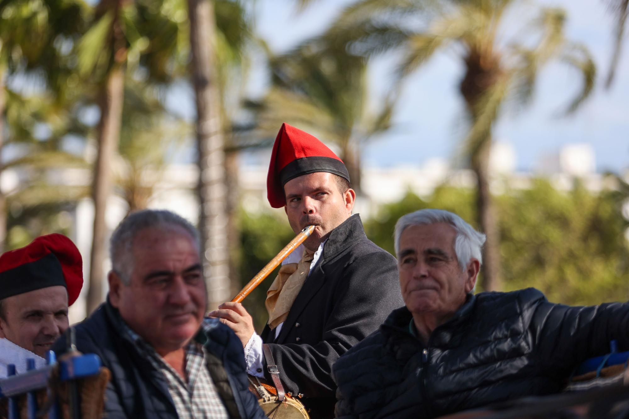 Todas las imágenes de la bendición de animales y el día grande de las fiestas de Sant Antoni