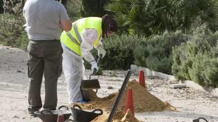 Imagen de archivo de un taller de empleo de jardinería en Xàtiva.