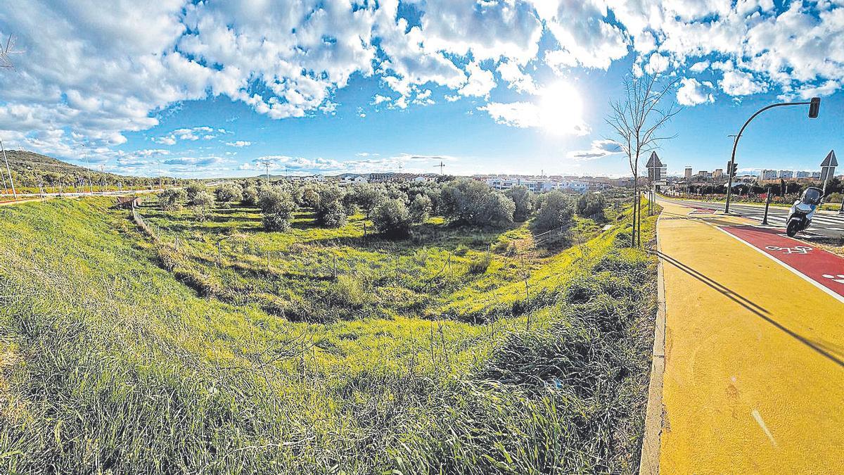 Terreno que está entre la ronda este y la urbanización de Vistahermosa.