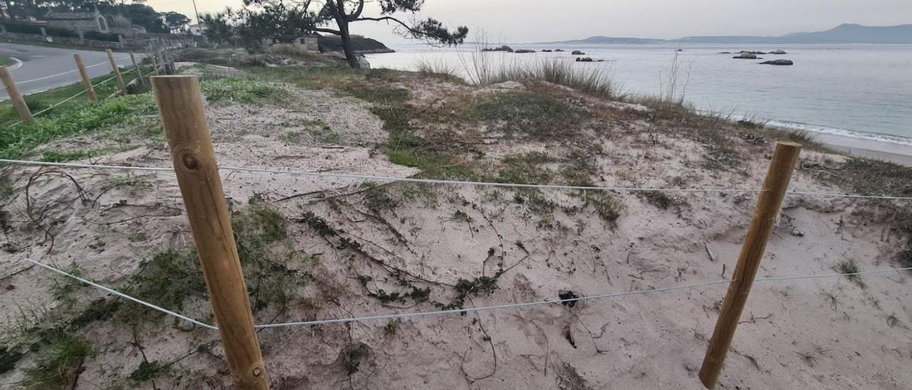 Cordón dunar de O Carreiro, en el que se encuentra el yacimiento de Adro Vello y donde se colocaron postes de madera y cordeles para favorecer la regeneración natural.